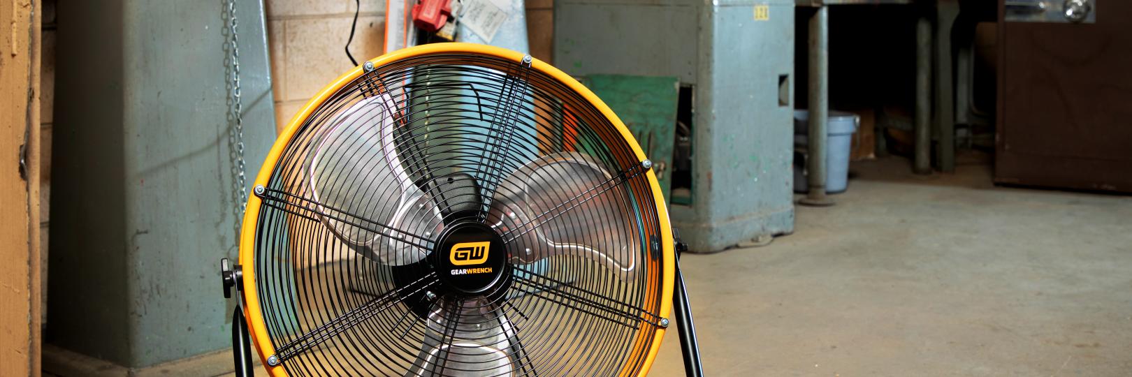 GW_GWSFAN20_IMG_ENV_01.