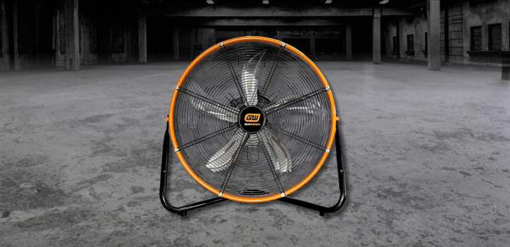 Fans