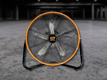 Fans