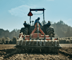 Agriculture Industry